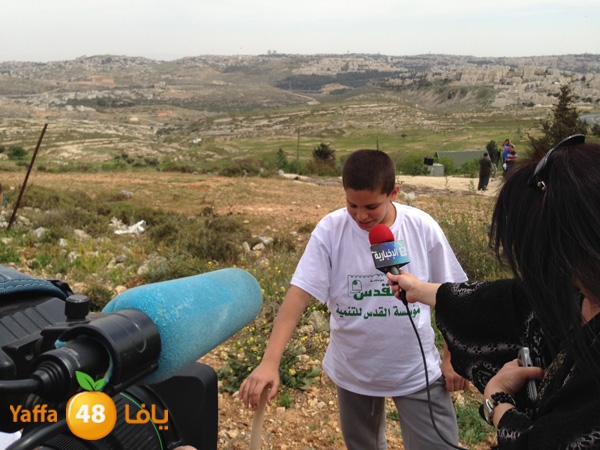 ludandyaffazaitoon (38).JPG